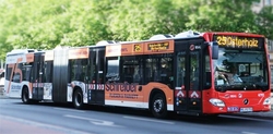 Bus des Monats Juni 2022 - Schreiber